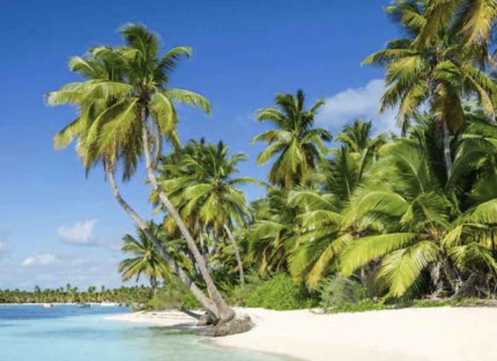 Plage des Antilles